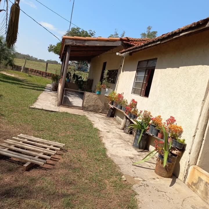 Fazenda em São Gabriel do Oeste — foto 6