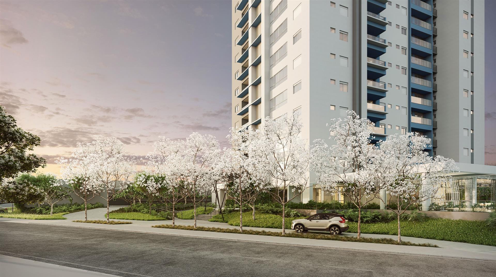 Tay Campo Grande - Vanguard — foto 7