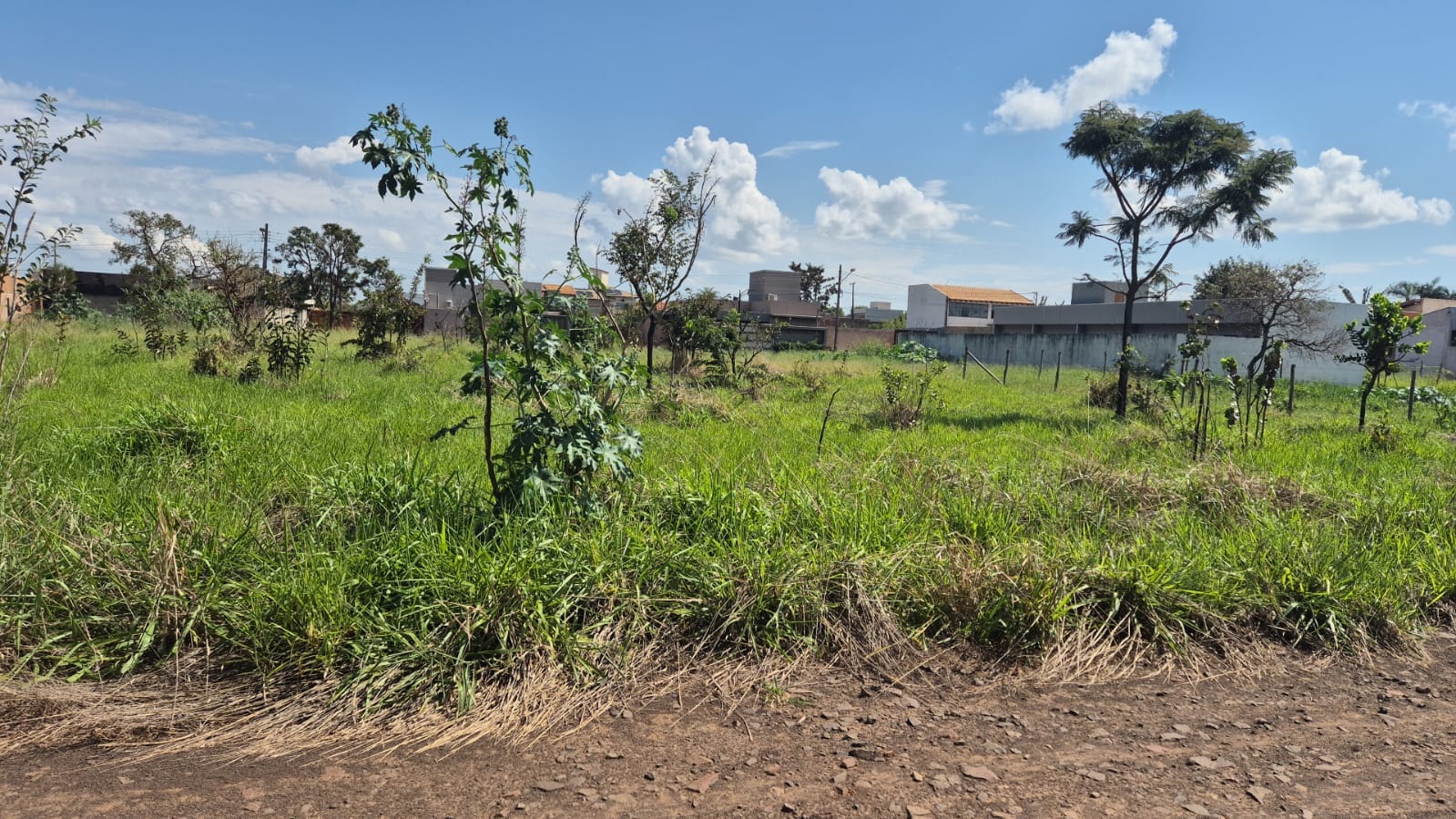 Terreno — foto 1