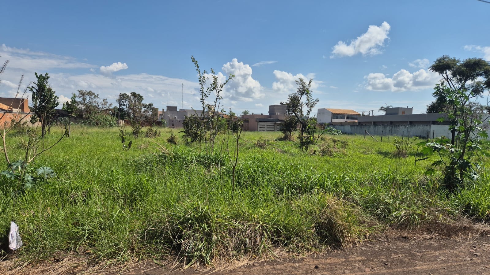 Terreno — foto 2